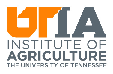 Full color, stacked version, logo for the UT Institute of Agriculture.