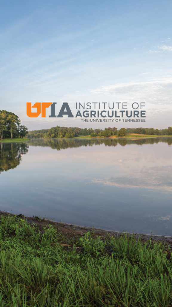 Large lake at the University of Tennessee’s Lone Oaks Farm with UTIA logo