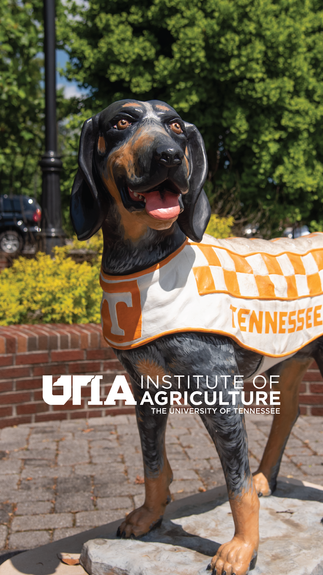UTIA Backgrounds | UTIA Brand Standards