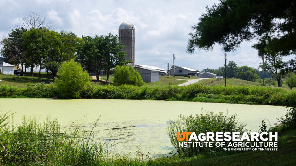 A pond and silo on the grounds of the Middle Tennessee AgResearch and Education Center