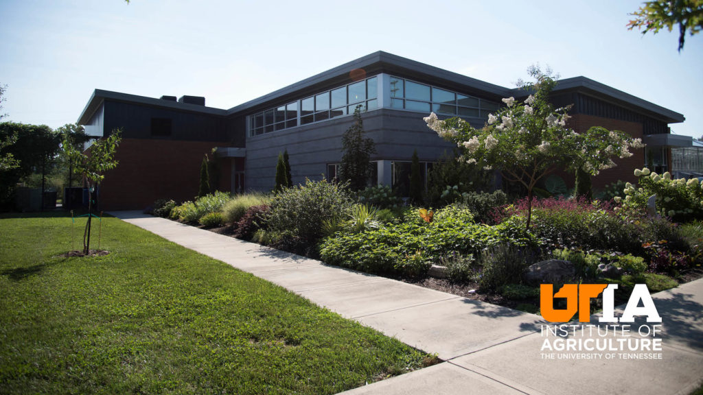 The South Greenhouse on the agricultural campus