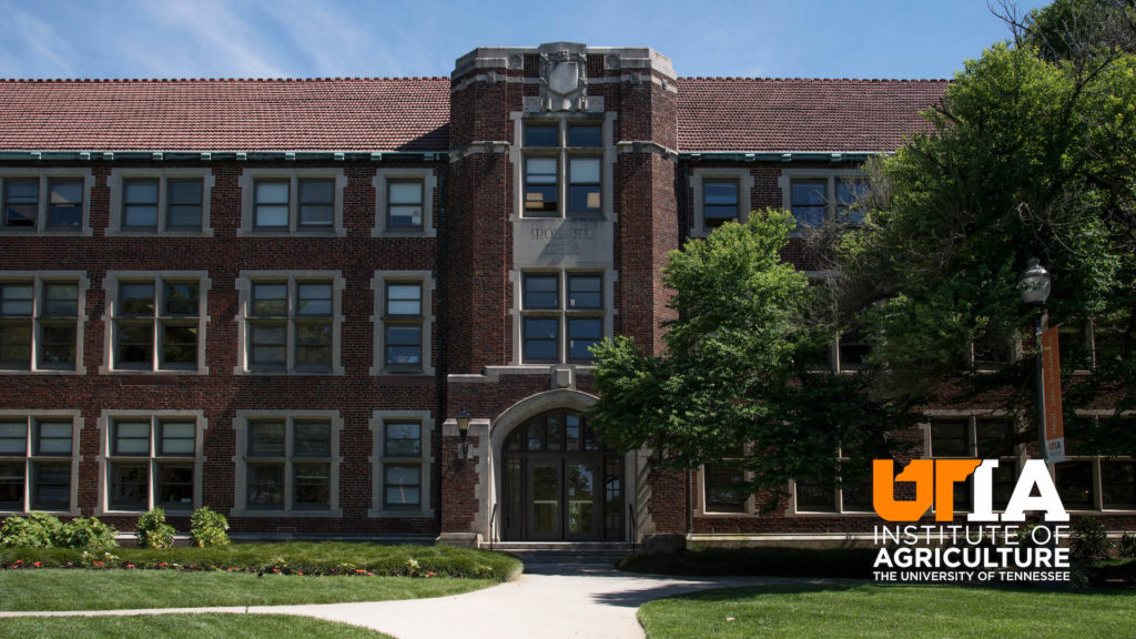 The front of Morgan Hall is shown with a bright green lawn and blue sky