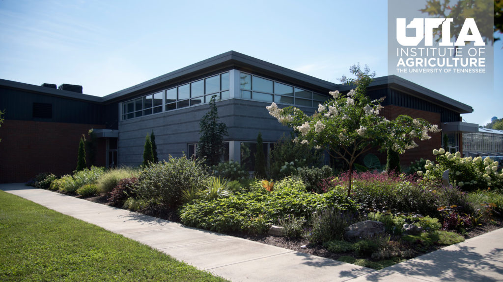 The South Greenhouse on the agricultural campus with the University of Tennessee Institute of Agriculture logo in the upper right corner