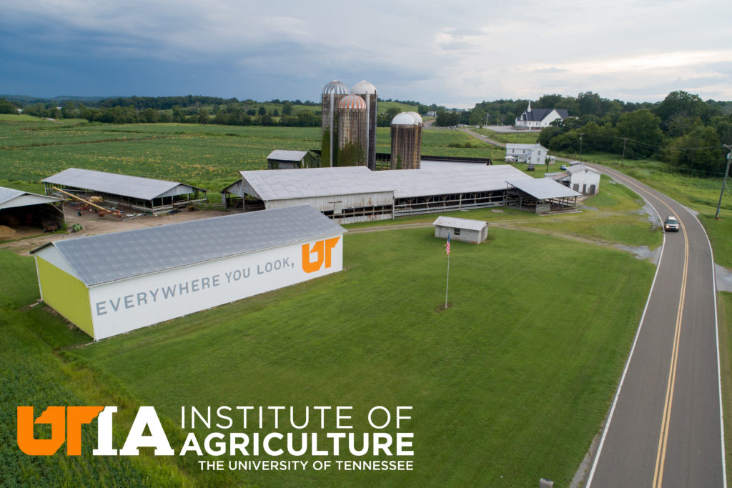 Mohawk, TN Farm with UT slogan painted on barn